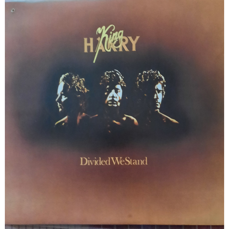  King Harry ‎– Divided We Stand (Zeer goede staat, hoes VG en vinyl VG+) EMI ‎– EMC 3188